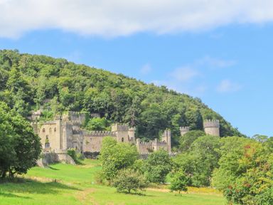 A stone castle surrounded by trees and grass with a forested hill and blue sky in the background