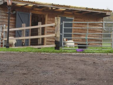 A wooden animal shelter with two goats behind a fenced enclosure near a lamp post