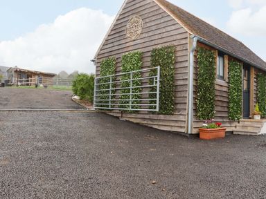 A small wooden building with green plants on the walls and a metal gate at Bee Cottage in Ottinge near Lyminge
