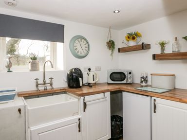 A kitchen corner with a sink a microwave an air fryer and wooden shelves with plants at High Wreah Bolt Hole in Cleator Moor
