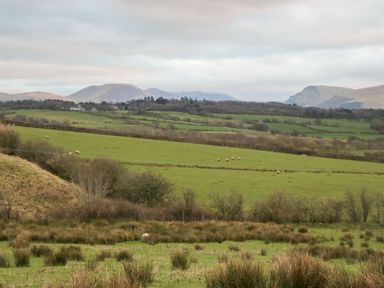A green hilly landscape with grass fields and sheep grazing at High Wreah Bolt Hole in Cleator Moor