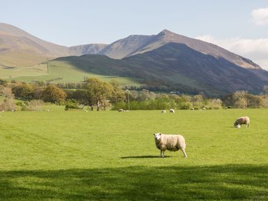 A field with sheep grazing and mountains in the background at High Wreah Bolt Hole in Cleator Moor