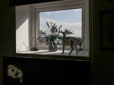 A window sill with a vase of flowers a decorative deer figure and a reed diffuser at High Wreah Bolt Hole in Cleator Moor