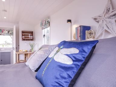 A couch with dragonfly patterned cushions and books on a shelf in a room at Bumbles Retreat in Whepstead near Bury St Edmunds