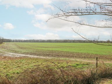 A grassy field with a dirt path and bare tree branches in the foreground at Bumbles Retreat in Whepstead near Bury St Edmunds