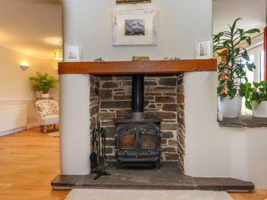 A stone fireplace with a wood-burning stove and tools with plants and a chair in the background at Hole Park in Holsworthy