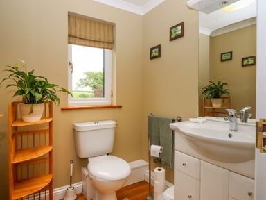 A bathroom with a toilet sink a mirror wooden shelving with a plant and a window at Hole Park in Holsworthy