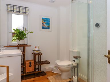 A bathroom with a wooden floor a toilet a glass shower screen a white sink a plant on a wooden shelf and a framed picture on the wall at Hole Park in Holsworthy