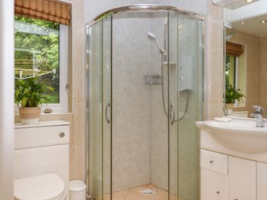 A bathroom with a glass shower enclosure a white sink and a toilet with a plant on the window sill at Hole Park in Holsworthy