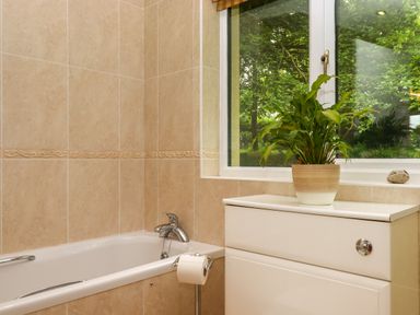 A bathroom with a bathtub a white cabinet a potted plant on the cabinet and a window showing green trees at Hole Park in Holsworthy