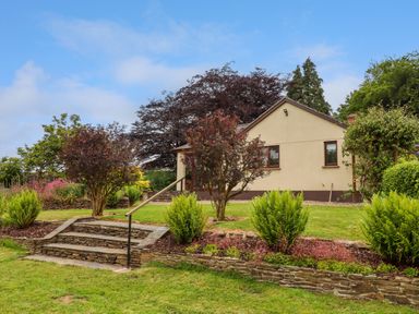 A garden with stone steps shrubs and a beige house in the background at Hole Park in Holsworthy