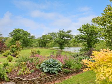 A garden with various plants and flowers overlooking a fenced grassy area with large trees and a pond at Hole Park in Holsworthy