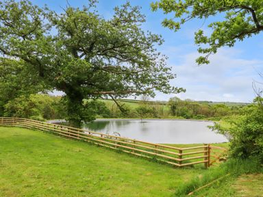 A fenced grassy area with a large tree and a pond in the background at Hole Park in Holsworthy