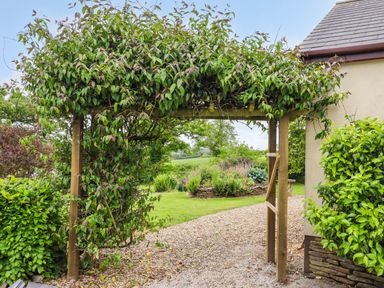 A garden archway covered with green foliage next to a house with gravel pathway and plants at Hole Park in Holsworthy