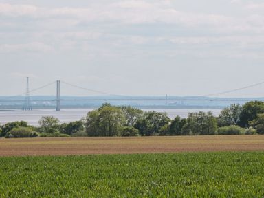 A field with green crops and trees near a river with a suspension bridge in the background at Hidden Well in Aust