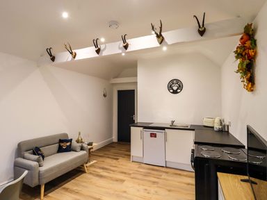 A kitchenette with white cabinets, a small fridge, a stove, and a sink next to a gray sofa with cushions in a room at Kingfisher Cottage in Ottinge near Lyminge