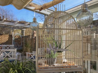 A glass sunroom with a decorative birdcage containing potted plants and hanging light bulbs at Cove Cottage Hideaway in Chiswell On Portland