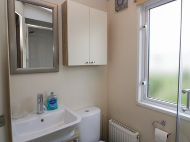 A bathroom with a white sink and faucet a mirror a wall cabinet a toilet a radiator a frosted window and a toilet paper holder at Ladybird Lodge South Lakes Leisure Park near Carnforth