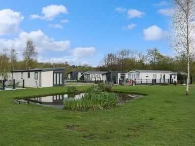 A group of holiday lodges near a small pond with grass and trees at Ladybird Lodge South Lakes Leisure Park near Carnforth