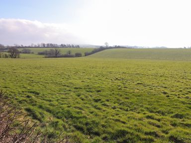 A grassy field with rolling hills and sparse trees at 2 South Street in Fletchertown near Aspatria