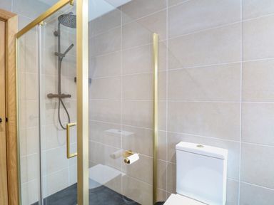 A bathroom with a glass shower enclosure with gold frame a showerhead and a white toilet at County Farm Barn in South Walsham