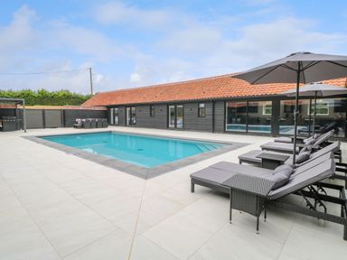 An outdoor swimming pool with lounge chairs and umbrellas beside a building with tiled roof at County Farm Barn in South Walsham