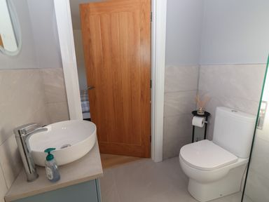 A bathroom with a white sink and soap dispenser on the counter a wooden door and a white toilet with a toilet paper holder and diffuser on a small stand at The Boathouse in Carrigaholt County Clare