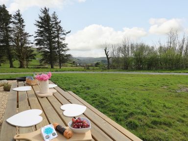 A wooden picnic table with heart-shaped placemats flowers and food overlooking a grassy field with trees at Willow in Llangurig near Llanidloes