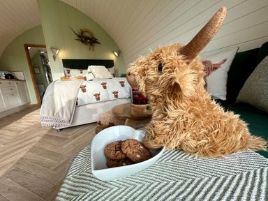 A bedroom with a stuffed animal and cookies at Willow in Llangurig near Llanidloes