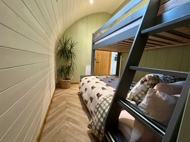 A bedroom with a bunk bed and potted plant at Willow in Llangurig near Llanidloes