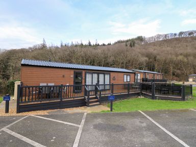 A brown lodge with a black railing deck and outdoor seating in front of a wooded hillside at 43 The Deri in Llanarth