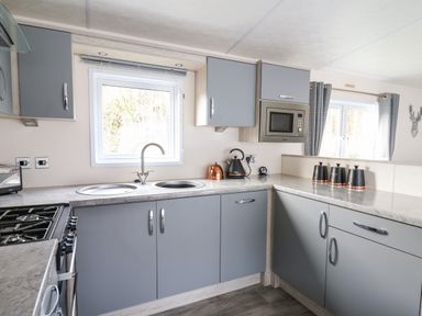 A kitchen with grey cabinets a double sink a microwave kettle and canisters at 43 The Deri in Llanarth