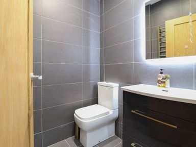 A bathroom with a toilet a sink with soap dispenser and a mirror with light at Gwydyr Bach 1 in Llanrwst