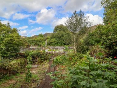 A garden with plants and flowers surrounded by trees and a stone wall at Nyth Yr Eryr in Blaenau Ffestiniog