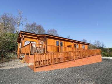 A wooden cabin with a ramp and railing surrounded by trees at Little Lodge in Balminnoch near Glenluce