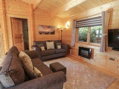 A living room with two sofas a window with curtains a wall mounted tv and an electric fireplace at Little Lodge Balminnoch near Glenluce