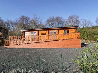 A wooden lodge with a sloped ramp in front surrounded by gravel and trees at Little Lodge Balminnoch near Glenluce