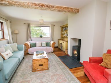 A living room with sofas a wooden coffee table a fireplace and a wooden cabinet at Oak Apple Cottage in Presteigne
