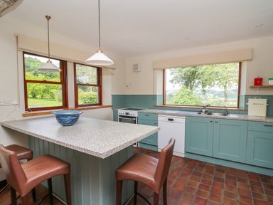 A kitchen with green cabinets brown chairs and large windows showing trees at Oak Apple Cottage in Presteigne