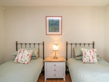 A bedroom with two single beds with floral cushions and a bedside table with a lamp in between at Oak Apple Cottage in Presteigne