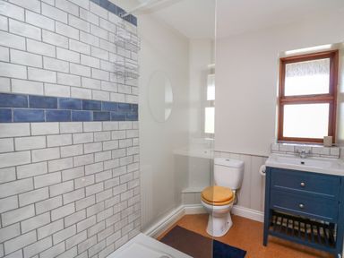 A bathroom with a shower area, toilet with wooden seat, and sink with blue cabinet at Oak Apple Cottage in Presteigne