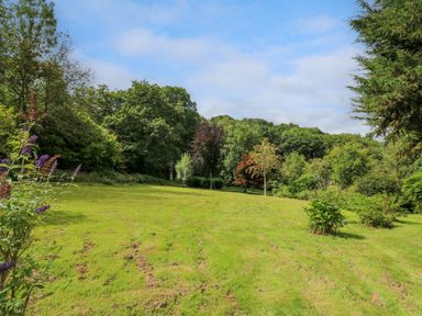 A grassy garden area with scattered small trees and bushes surrounded by dense woods at Oak Apple Cottage in Presteigne