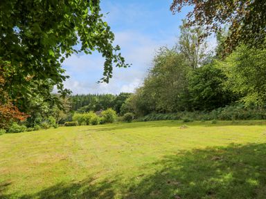 A grassy lawn surrounded by trees and bushes with a house partially visible at Oak Apple Cottage in Presteigne