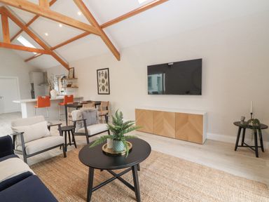 A living room with wooden beams a wall mounted television a black round coffee table with a plant and armchairs at Curhoor Near Loughrea County Galway