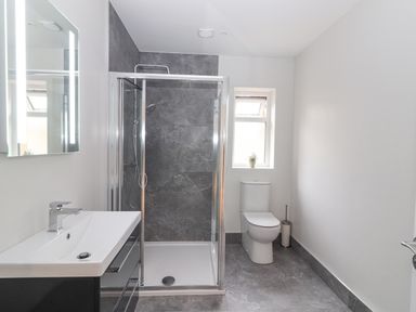 A bathroom with a shower enclosure a toilet and a sink with mirror at Curhoor Near Loughrea County Galway