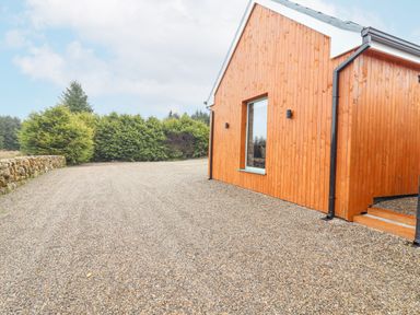 A gravel driveway beside a wooden house with a window and surrounded by trees at Curhoor Near Loughrea County Galway