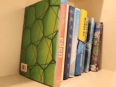 A row of books standing upright on a shelf at The Cabin at Ropewalk in Goonbell near St Agnes