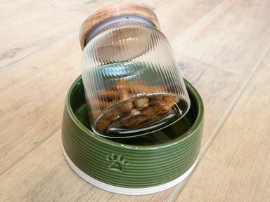 A green pet food bowl with an overturned glass jar containing dog treats on a wooden floor at The Cabin at Ropewalk in Goonbell near St Agnes
