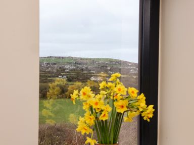 A window with a view of a rural landscape and yellow flowers in a vase at The Cabin at Ropewalk in Goonbell near St Agnes