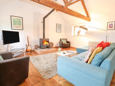 A living room with a blue sofa red and yellow pillows a wood stove a guitar and a television at Packway Barn in Halesworth